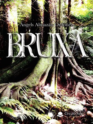 cover image of Bruixa